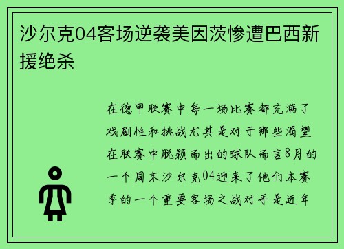 沙尔克04客场逆袭美因茨惨遭巴西新援绝杀